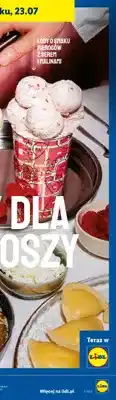 Lidl Lody w kubku Willisch o smaku pierogów z serem i malinami oferta