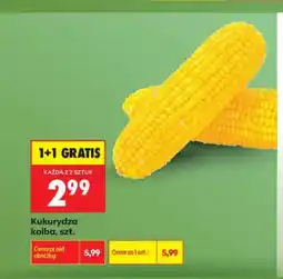 Biedronka Kukurydza kolba oferta