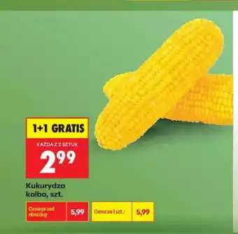 Biedronka Kukurydza kolba oferta