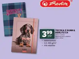 Stokrotka Teczka Herlitz oferta