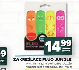 Stokrotka Zakreślacz Cluo oferta