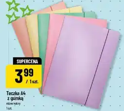 Polomarket Teczka a4 z gumką oferta