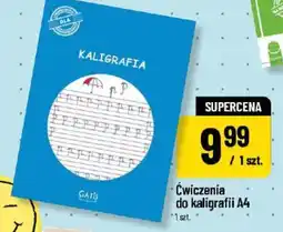 Polomarket Kaligrafia oferta