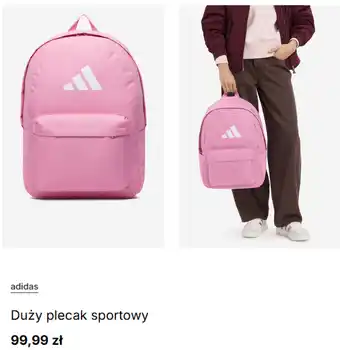 CCC Duży plecak sportowy adidas oferta