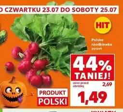 Kaufland Rzodkiewka polska oferta