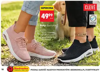 Buty damskie Clevé