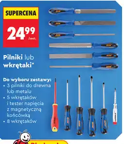 Biedronka Niteo Pilniki lub wkrętaki oferta