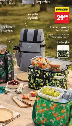 Biedronka Składany koszyk termiczny oferta