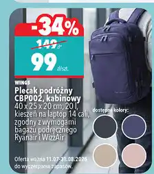 Biedronka Wings Plecak podróżny CBP002, kabinowy oferta