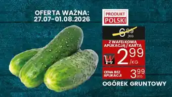 Wafelek Ogórek Gruntowy oferta