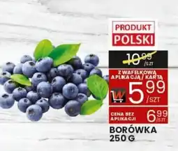 Wafelek Borówka oferta