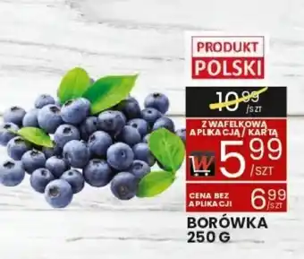 Wafelek Borówka oferta