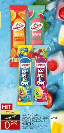 Wafelek Lody Owocowe Sorbetowe Hortex oferta