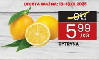 Wafelek Cytryna oferta