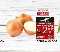 Wafelek Cebula młoda oferta