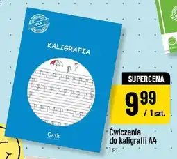 Polomarket Ćwiczenia do kaligrafii A4 Gatis oferta