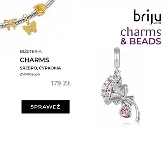 Zawieszka charms srebrna z cyrkoniami Briju ZW-002654