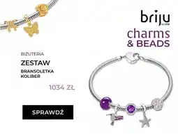 Briju Zestaw bransoletka koliber Briju oferta