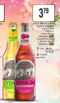 Dino Cydr Miłosławski o smaku Limoncello oferta