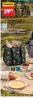 Biedronka Plecak termiczny Smukee oferta