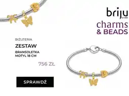 Briju Zestaw bransoletka Motyl 18 cm Briju oferta