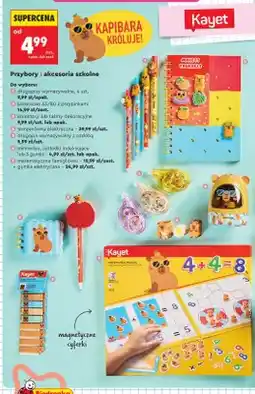 Biedronka Kołonotes A5/80 z przypinkami Kayet oferta