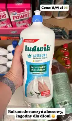 Biedronka Balsam do naczyń Ludwik aloesowy oferta