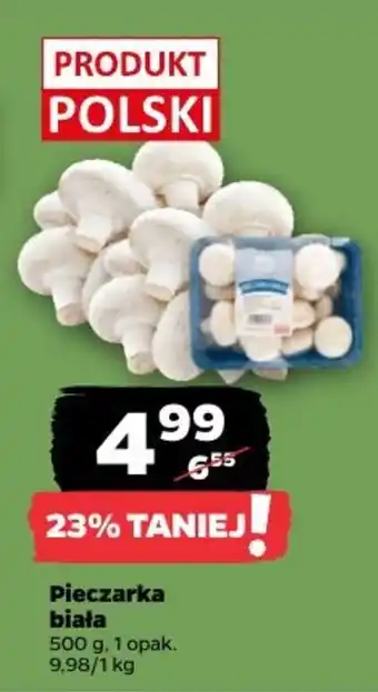 Netto Pieczarka biała oferta