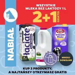 Netto Mleka bez laktozy oferta