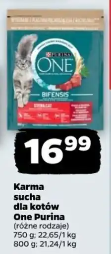 Netto Karma sucha dla kotów One Purina oferta