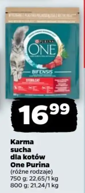 Netto Karma sucha dla kotów One Purina oferta