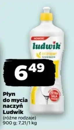 Netto Płyn do mycia naczyń Ludwik oferta