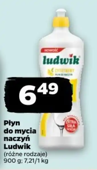 Netto Płyn do mycia naczyń Ludwik oferta