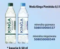AT Woda Kinga Pienińska oferta