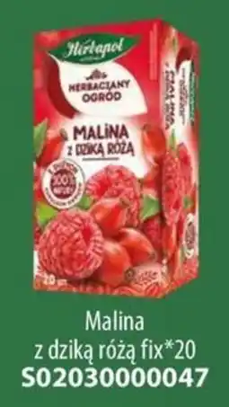 AT Herbacyjany Ogród Malina z dziką różą oferta