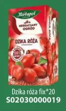 AT Herbapol Dzika Róża oferta