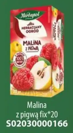 AT Herbata Malina z pigwą oferta