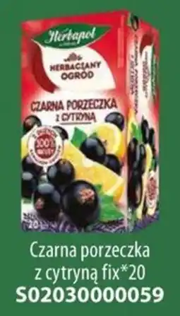 AT Herbapol czarna porzeczka z cytryną oferta
