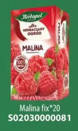 AT Herbacyjny Ogród Malina oferta