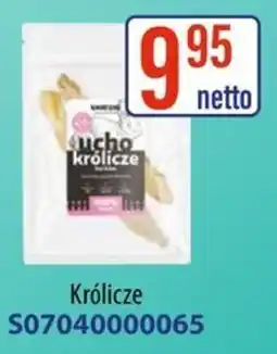 AT Ucho Królicze oferta