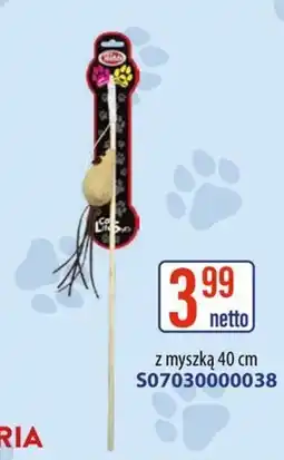 AT Cat Life z myszką oferta
