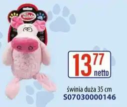 AT Pet Nova świnia duża oferta
