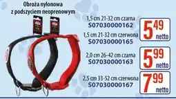 AT Obroża nylonowa z podszyciem neoprenowym oferta