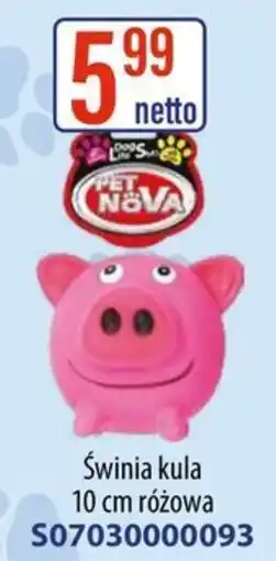 AT PET NOVA Świnia kula oferta