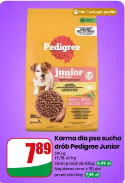 Dino Karma dla psa sucha drób Pedigree Junior oferta