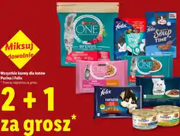Lidl Wszystkie karmy dla kotów Purina i Felix oferta