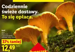 Lidl Kurki Ryneczek Lidla oferta