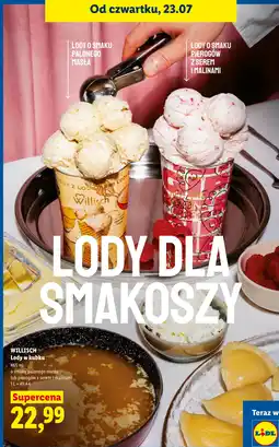 Lidl Willisch Lody w kubku o smaku palonego masła lub pierogów z serem i malinami oferta