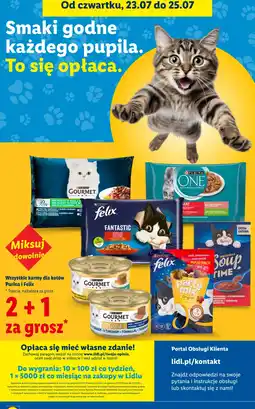 Lidl Wszystkie karmy dla kotów Purina i Felix oferta