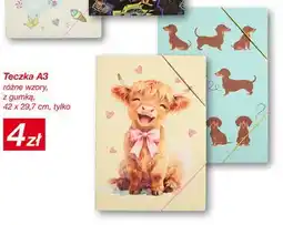 KiK Teczka A3 z gumką oferta